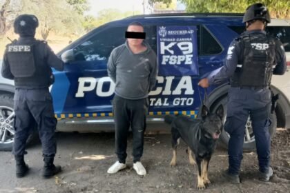 agente canino gaby de fspe intercepta a hombre con mil