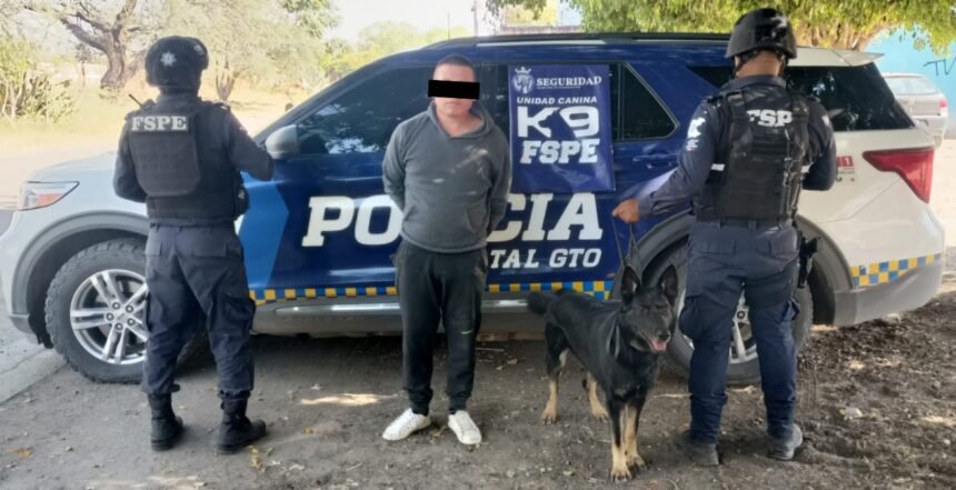 agente canino gaby de fspe intercepta a hombre con mil