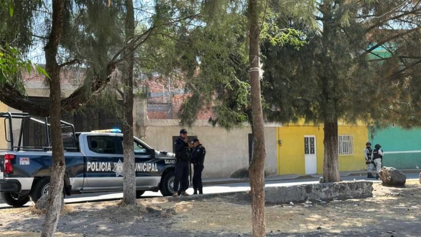 asesinan a jose guadalupe en un ataque violento en la