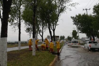 baja la temperatura a 3 grados y se registran lluvias