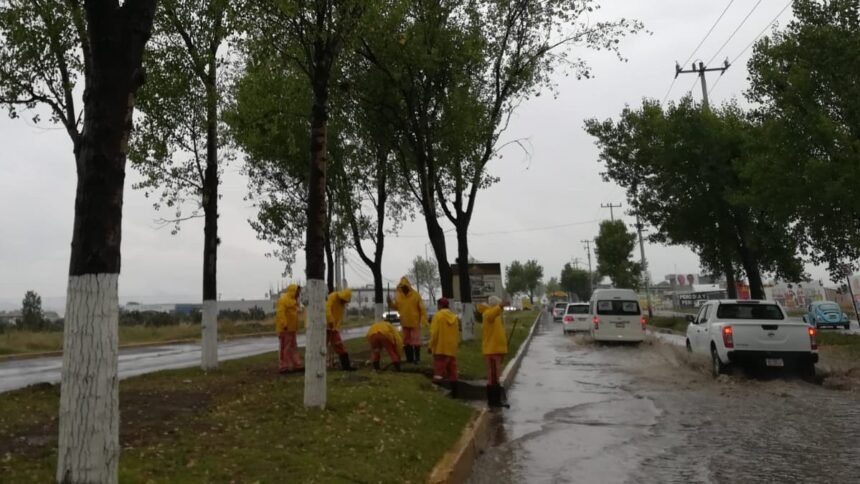 baja la temperatura a 3 grados y se registran lluvias