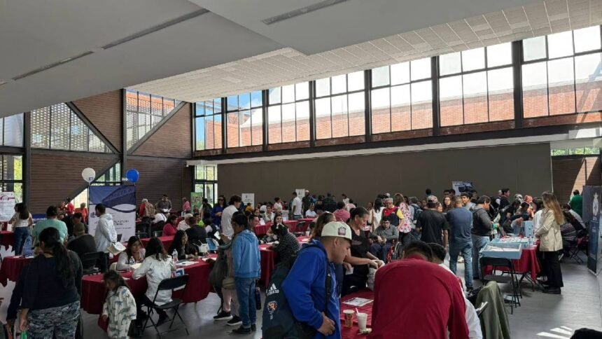 bolsa de trabajo en celaya impulsa las busquedas de empleo