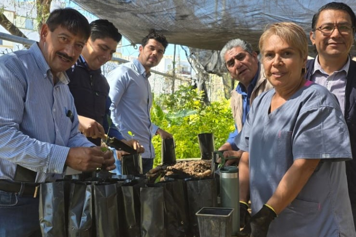 carlos soto impulsa campana de reforestacion y zamora supera los