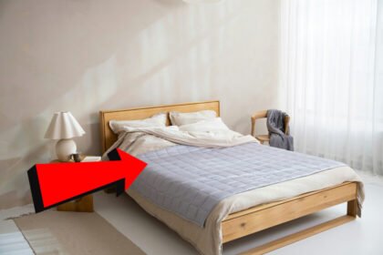 Colcha fácil de lavar, ideal para invierno y verano, alternativa a la cobija de tigre