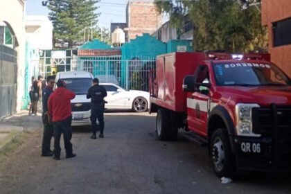 crueldad animal en celaya causa la muerte de cuatro perros