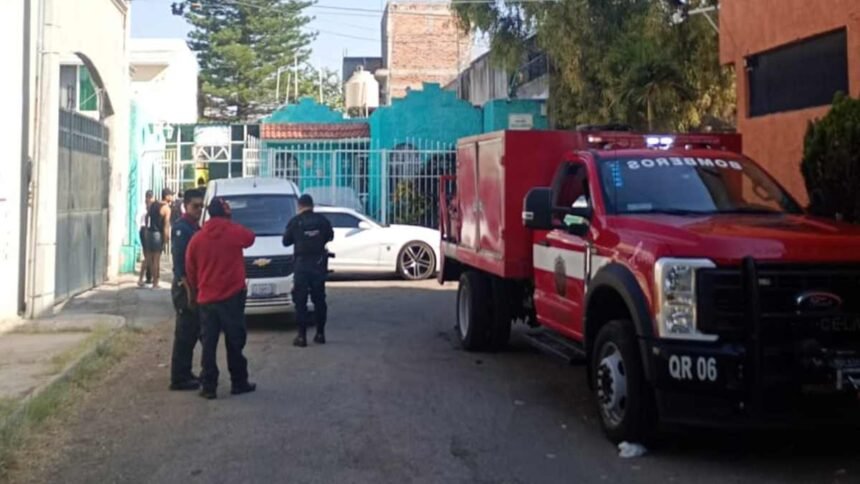crueldad animal en celaya causa la muerte de cuatro perros