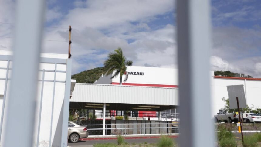 despidos en yazaki leon por traslado de equipo laboral