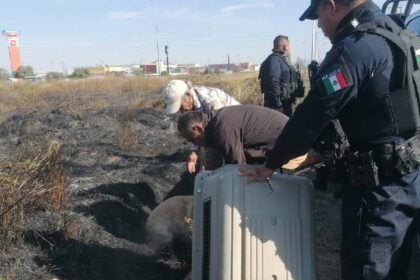 detenidos por arrastrar a un perro con una motocicleta