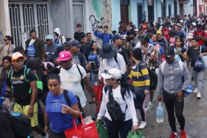 diputados aprueban dictamen que establece hasta 20 anos de carcel