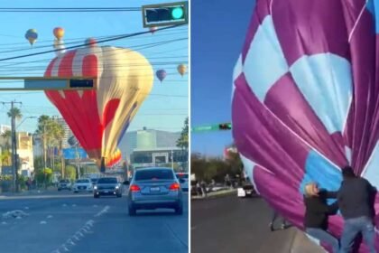 dos globos del fig aterrizan en bulevares de leon