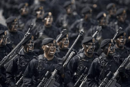 ejercito despliega murcielagos en michoacan tropas de elite con capacidad