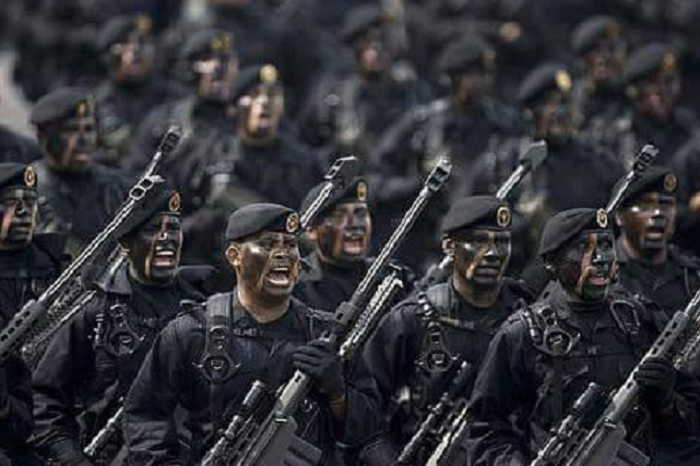 ejercito despliega murcielagos en michoacan tropas de elite con capacidad