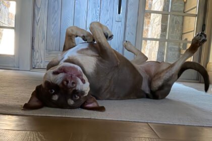 El negocio de la resurrección ha comenzado