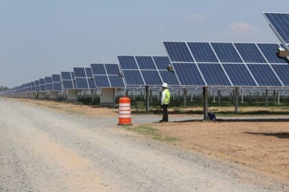firma solar establece meta de 100 millones de dolares en