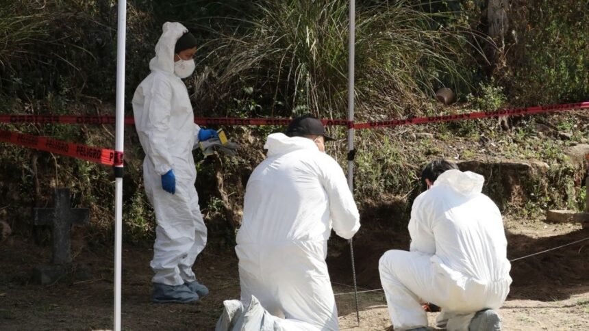 fiscalia de la cdmx inicia exhumacion para identificar cuerpos en