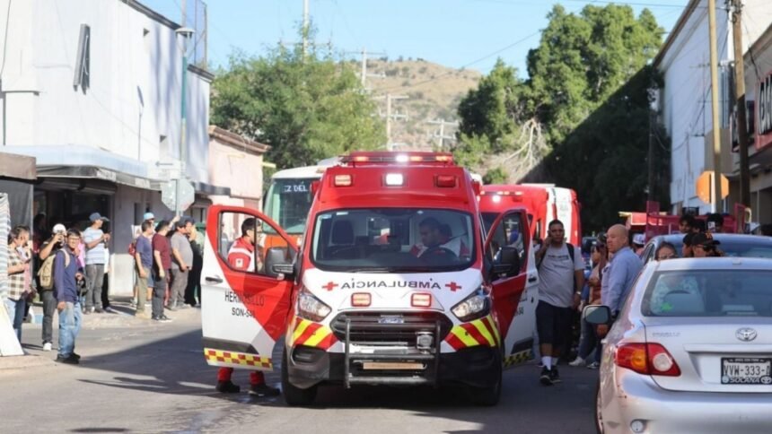 fiscalia de sonora descarta incendio intencional en waldos y senala