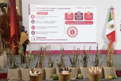 gobierno de sheinbaum lanza programa para preservar y comercializar el