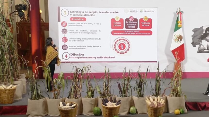 gobierno de sheinbaum lanza programa para preservar y comercializar el