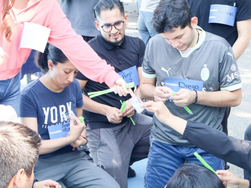 guanajuato transforma el proceso de busqueda de empleo con nuevas