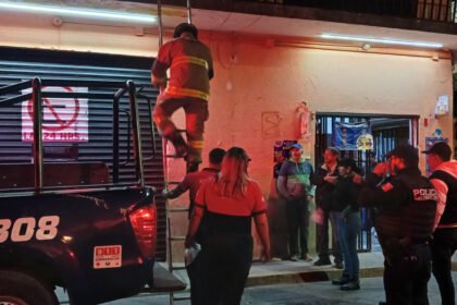 hombre fallecido en leon es atacado por perros en la