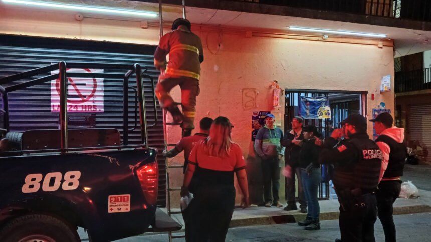 hombre fallecido en leon es atacado por perros en la