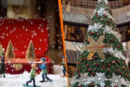 Horarios y precios actualizados para los próximos eventos