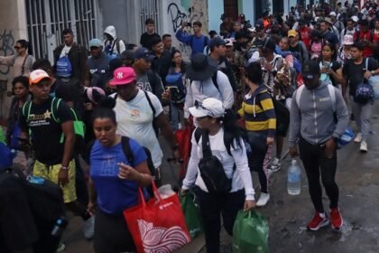 ingreso de migrantes a mexico aumento 700 durante el sexenio
