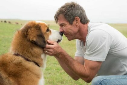 La película de Amazon Prime sobre reencarnación y mascotas con un profundo mensaje emocional