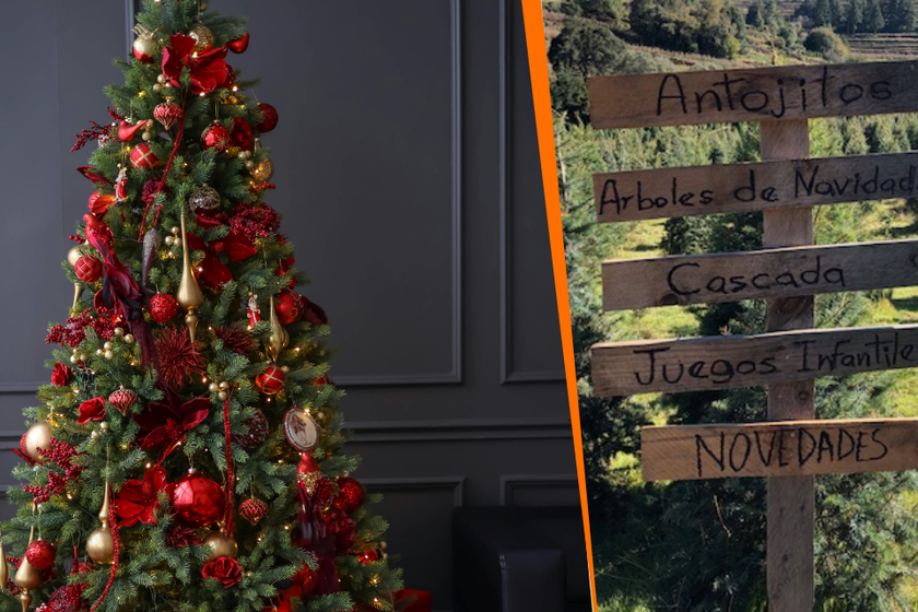 Lugares acreditados por la Secretaría del Medio Ambiente en el país