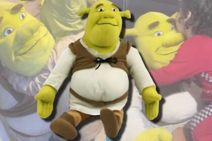 Niño transforma a Sherk en su peluche de apoyo emocional y conmueve a Internet