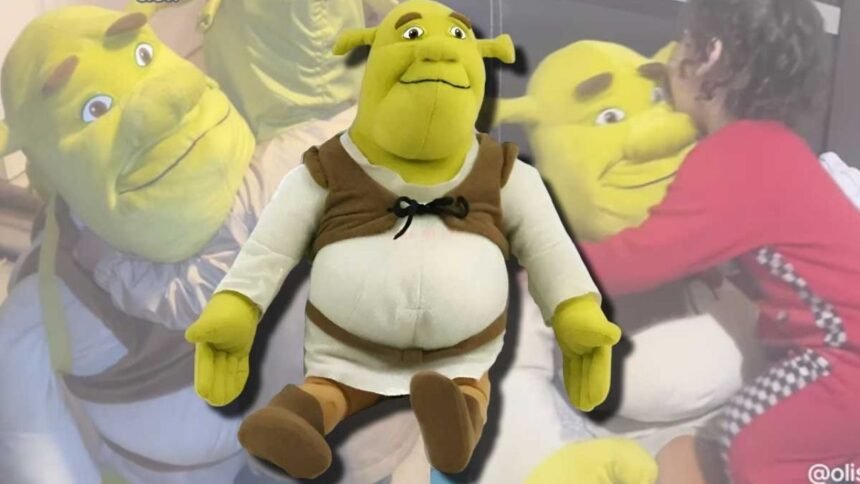 Niño transforma a Sherk en su peluche de apoyo emocional y conmueve a Internet