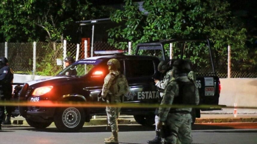 ocho detenidos por posesion de droga y armas en operativos