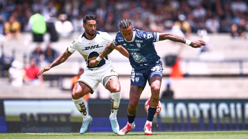 opciones para seguir tuzos de pachuca vs pumas y xolos