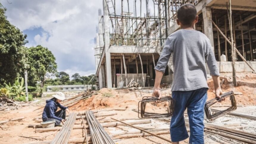 organizaciones solicitan al gobierno mexicano proteccion del t mec contra explotacion