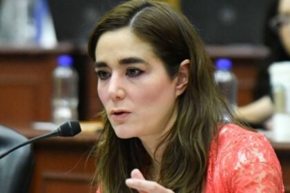 organo interno de control del ine niega acceso a investigaciones