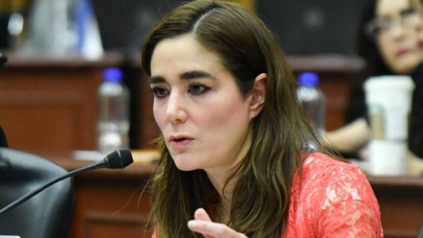 organo interno de control del ine niega acceso a investigaciones