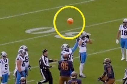 pelota de playa interrumpe jugada ofensiva de las panteras de