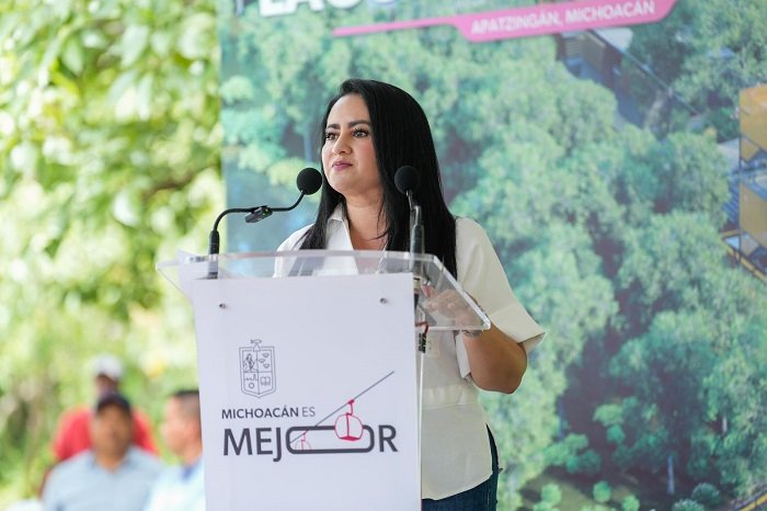 plan michoacan clave en el proceso de pacificacion del estado