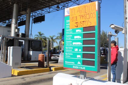 precio del maiz en guanajuato se deteriora libia solicita reintegrarse