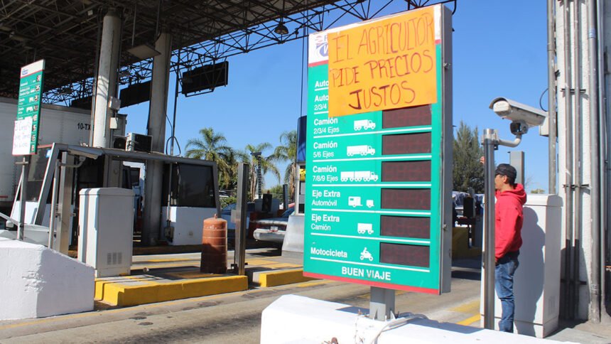 precio del maiz en guanajuato se deteriora libia solicita reintegrarse