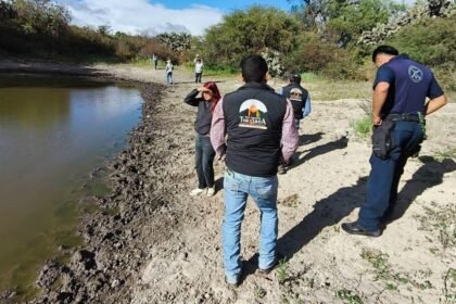 puma suelto cerca de pachuca acciones recomendadas ante encuentros con