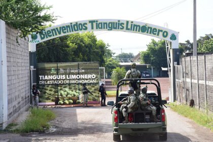 refuerzan seguridad en empacadoras de limon con la operacion paricutin