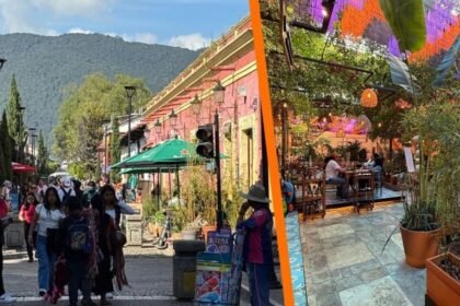 Restaurantes, hoteles y atracciones gratuitas para visitar en la ciudad