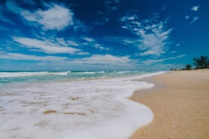 retiran letreros instalados por extranjeros que bloqueaban el acceso a