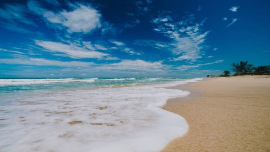 retiran letreros instalados por extranjeros que bloqueaban el acceso a