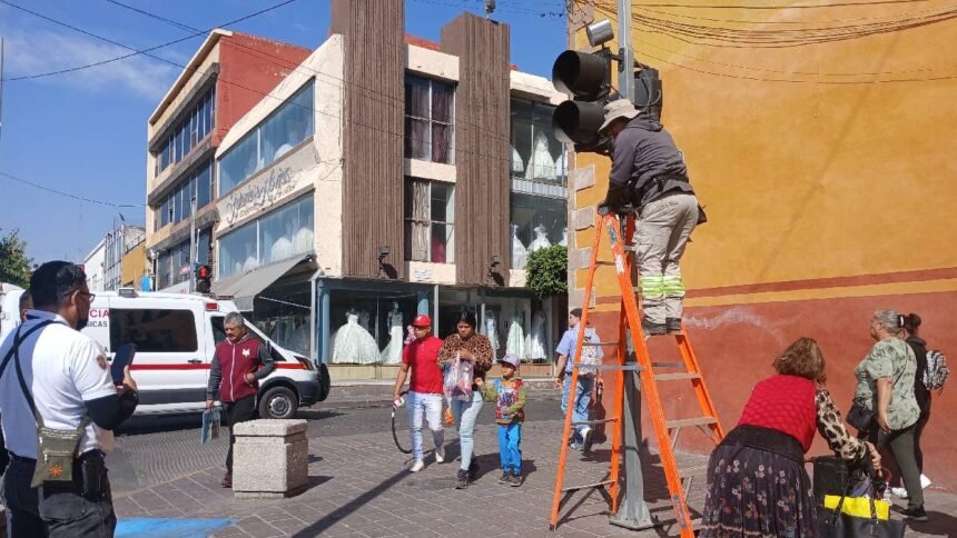 semaforos en celaya presentan danos ocasionados por roedores