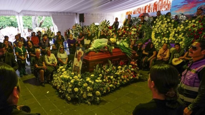 senadores de morena y aliados hacen un llamado a la