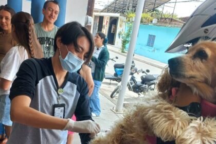 ssg inicia campana de vacunacion antirrabica para perros y gatos