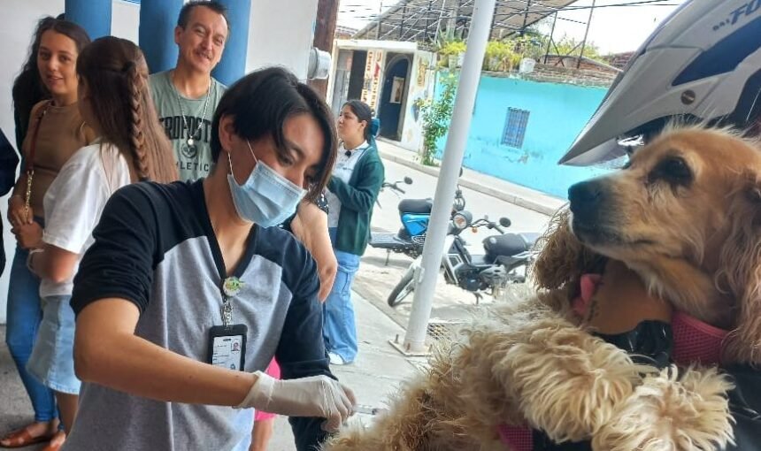 ssg inicia campana de vacunacion antirrabica para perros y gatos