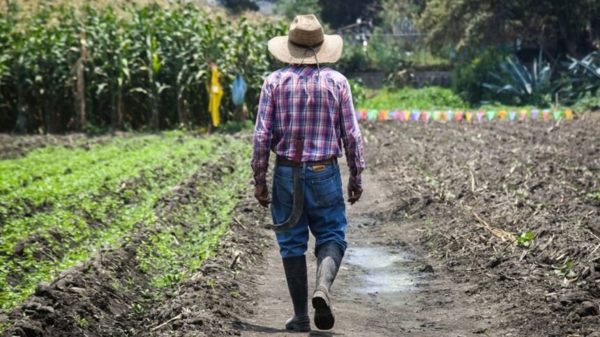 union nacional de trabajadores agricolas demanda politicas para abordar crisis